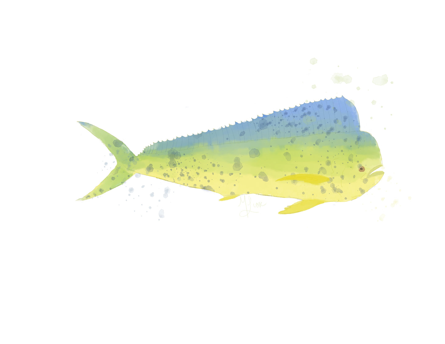 Mahi watercolor art print